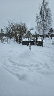 Нажмите на изображение для увеличения.

Название:	20260106_145308.jpg
Просмотров:	71
Размер:	334.4 Кб
ID:	4545654