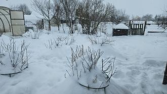 Нажмите на изображение для увеличения.

Название:	20260106_145342.jpg
Просмотров:	52
Размер:	556.5 Кб
ID:	4545655