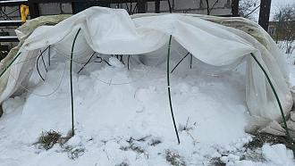 Нажмите на изображение для увеличения.

Название:	20260106_130346.jpg
Просмотров:	52
Размер:	476.6 Кб
ID:	4545657