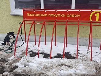 Нажмите на изображение для увеличения.

Название:	photo_2026-01-07_13-04-15.jpg
Просмотров:	33
Размер:	292.4 Кб
ID:	4545738