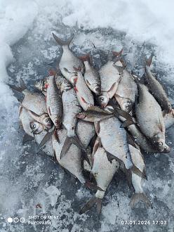 Нажмите на изображение для увеличения.

Название:	IMG_20260107_170305.jpg
Просмотров:	1702
Размер:	516.9 Кб
ID:	4545791