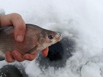 Нажмите на изображение для увеличения.

Название:	IMG_20260107_103802.jpg
Просмотров:	848
Размер:	311.6 Кб
ID:	4545802