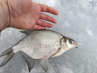 Нажмите на изображение для увеличения.

Название:	IMG_20260107_154054.jpg
Просмотров:	858
Размер:	481.6 Кб
ID:	4545804