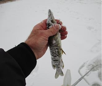 Нажмите на изображение для увеличения.

Название:	IMG_0628.JPG
Просмотров:	557
Размер:	317.4 Кб
ID:	4545842