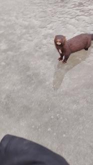 Нажмите на изображение для увеличения.

Название:	Screenshot_20260106_145325855.jpg
Просмотров:	494
Размер:	273.9 Кб
ID:	4545881