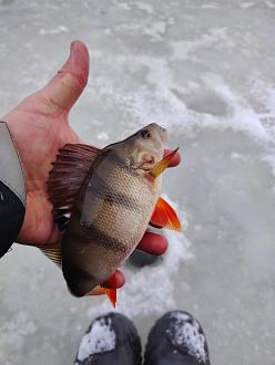 Нажмите на изображение для увеличения.

Название:	IMG_20251231_120021.jpg
Просмотров:	236
Размер:	197.9 Кб
ID:	4545882