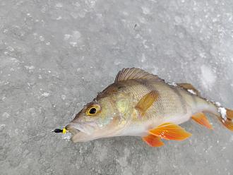 Нажмите на изображение для увеличения.

Название:	IMG_20260103_112155_672.jpg
Просмотров:	244
Размер:	344.8 Кб
ID:	4545883