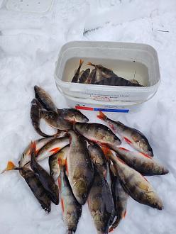 Нажмите на изображение для увеличения.

Название:	IMG_20260103_143502.jpg
Просмотров:	255
Размер:	360.3 Кб
ID:	4545885