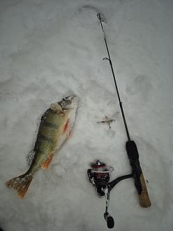 Нажмите на изображение для увеличения.

Название:	20260108_144509.jpg
Просмотров:	335
Размер:	257.5 Кб
ID:	4545904