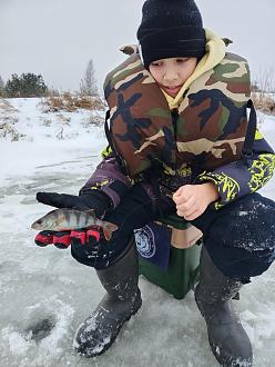 Нажмите на изображение для увеличения.

Название:	IMG_20251231_104255.jpg
Просмотров:	182
Размер:	362.8 Кб
ID:	4545973