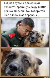 Нажмите на изображение для увеличения.  Название:	b03b9c8795596c3a47089a62ba7b2342a37f811b014dae9e19a9bbad83f825db_1.jpg Просмотров:	0 Размер:	202.8 Кб ID:	4545992