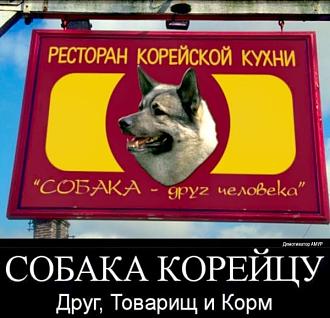 Нажмите на изображение для увеличения.

Название:	memi-klev-club-o2xi-p-memi-koreitsi-yedyat-sobak-8.jpg
Просмотров:	17
Размер:	74.7 Кб
ID:	4546022