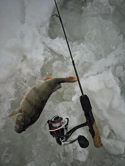 Нажмите на изображение для увеличения.

Название:	20260110_154621.jpg
Просмотров:	824
Размер:	340.7 Кб
ID:	4546047