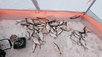 Нажмите на изображение для увеличения.  Название:	20260111_164401.jpg Просмотров:	0 Размер:	537.6 Кб ID:	4546083