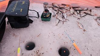 Нажмите на изображение для увеличения.  Название:	20260111_164351.jpg Просмотров:	0 Размер:	527.5 Кб ID:	4546084