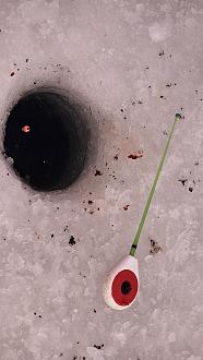 Нажмите на изображение для увеличения.  Название:	20260111_123453.jpg Просмотров:	0 Размер:	301.4 Кб ID:	4546088