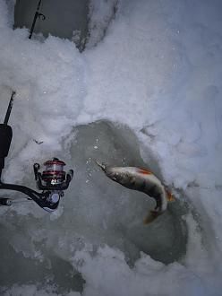 Нажмите на изображение для увеличения.

Название:	20260111_164518.jpg
Просмотров:	417
Размер:	270.0 Кб
ID:	4546125