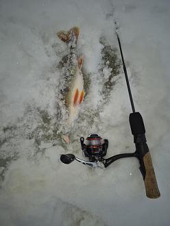 Нажмите на изображение для увеличения.

Название:	20260111_160128.jpg
Просмотров:	259
Размер:	303.5 Кб
ID:	4546129