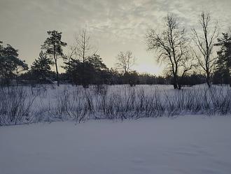 Нажмите на изображение для увеличения.  Название:	Санрайз.jpg Просмотров:	6 Размер:	344.6 Кб ID:	4546140