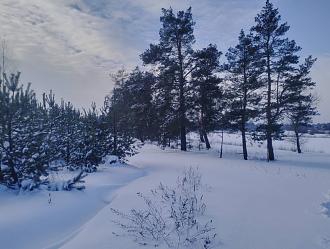Нажмите на изображение для увеличения.  Название:	Налево.jpg Просмотров:	5 Размер:	336.0 Кб ID:	4546143