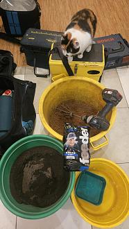 Нажмите на изображение для увеличения.

Название:	20260112_210634.jpg
Просмотров:	268
Размер:	298.6 Кб
ID:	4546232