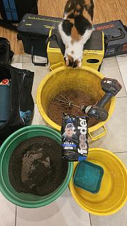 Нажмите на изображение для увеличения.

Название:	20260112_210631.jpg
Просмотров:	260
Размер:	423.7 Кб
ID:	4546233