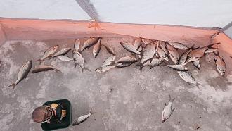 Нажмите на изображение для увеличения.  Название:	20260113_164855.jpg Просмотров:	0 Размер:	524.0 Кб ID:	4546279