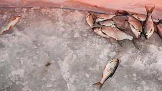 Нажмите на изображение для увеличения.  Название:	20260113_124443.jpg Просмотров:	0 Размер:	532.5 Кб ID:	4546281