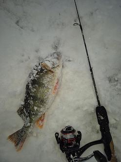 Нажмите на изображение для увеличения.

Название:	20260113_161915.jpg
Просмотров:	247
Размер:	320.0 Кб
ID:	4546304