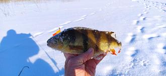 Нажмите на изображение для увеличения.

Название:	IMG_20260116_141453.jpg
Просмотров:	1048
Размер:	400.3 Кб
ID:	4546463