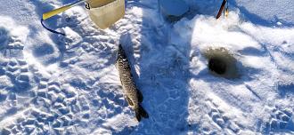 Нажмите на изображение для увеличения.

Название:	IMG_20260116_115048.jpg
Просмотров:	529
Размер:	479.5 Кб
ID:	4546466