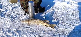 Нажмите на изображение для увеличения.

Название:	IMG_20260116_134840.jpg
Просмотров:	533
Размер:	515.6 Кб
ID:	4546467