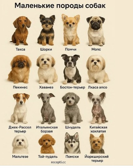 Нажмите на изображение для увеличения.

Название:	Скриншот 17-01-2026 101437.jpg
Просмотров:	0
Размер:	56.7 Кб
ID:	4546479