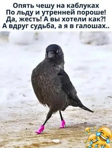 Нажмите на изображение для увеличения.

Название:	11zon_cropped (7).jpeg
Просмотров:	66
Размер:	75.6 Кб
ID:	4546488