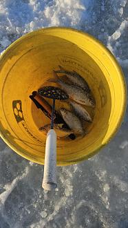 Нажмите на изображение для увеличения.

Название:	20260117_160343.jpg
Просмотров:	260
Размер:	367.6 Кб
ID:	4546509