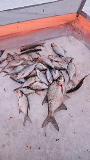 Нажмите на изображение для увеличения.

Название:	20260117_172315.jpg
Просмотров:	273
Размер:	381.1 Кб
ID:	4546515