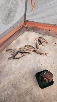 Нажмите на изображение для увеличения.

Название:	20260117_142513.jpg
Просмотров:	264
Размер:	374.3 Кб
ID:	4546517