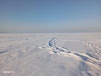 Нажмите на изображение для увеличения.

Название:	IMG_20260117_151031.jpg
Просмотров:	575
Размер:	477.1 Кб
ID:	4546543