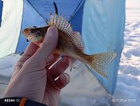 Нажмите на изображение для увеличения.

Название:	IMG_20260117_153836.jpg
Просмотров:	574
Размер:	363.0 Кб
ID:	4546545