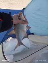 Нажмите на изображение для увеличения.

Название:	IMG_20260117_155638.jpg
Просмотров:	573
Размер:	253.7 Кб
ID:	4546549