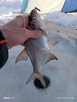 Нажмите на изображение для увеличения.

Название:	IMG_20260117_161505.jpg
Просмотров:	602
Размер:	254.0 Кб
ID:	4546550