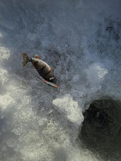 Нажмите на изображение для увеличения.

Название:	20260117_133834.jpg
Просмотров:	430
Размер:	448.5 Кб
ID:	4546636