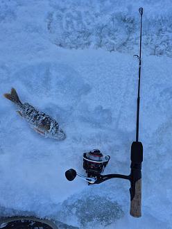 Нажмите на изображение для увеличения.

Название:	20260117_151436.jpg
Просмотров:	315
Размер:	347.9 Кб
ID:	4546637