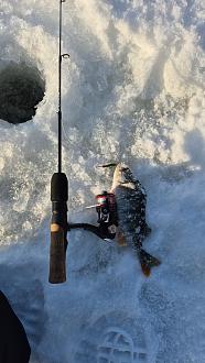 Нажмите на изображение для увеличения.

Название:	IMG-9347da7db9f9f14f2e1c310a9632b91c-V.jpg
Просмотров:	314
Размер:	343.2 Кб
ID:	4546638