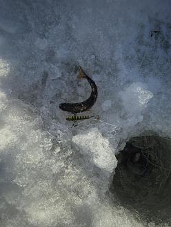 Нажмите на изображение для увеличения.

Название:	20260117_133832.jpg
Просмотров:	318
Размер:	462.0 Кб
ID:	4546639