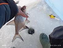 Нажмите на изображение для увеличения.  Название:	IMG_20260118_100818.jpg Просмотров:	0 Размер:	369.9 Кб ID:	4546669