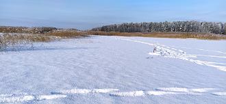 Нажмите на изображение для увеличения.

Название:	IMG_20260119_113555.jpg
Просмотров:	961
Размер:	477.2 Кб
ID:	4546798