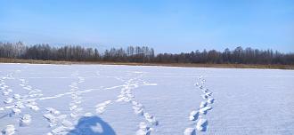 Нажмите на изображение для увеличения.

Название:	IMG_20260119_114618.jpg
Просмотров:	451
Размер:	426.0 Кб
ID:	4546800