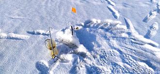 Нажмите на изображение для увеличения.

Название:	IMG_20260119_114759.jpg
Просмотров:	473
Размер:	515.0 Кб
ID:	4546802