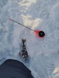 Нажмите на изображение для увеличения.

Название:	photo_1_2026-01-20_11-03-22.jpg
Просмотров:	443
Размер:	139.9 Кб
ID:	4546828